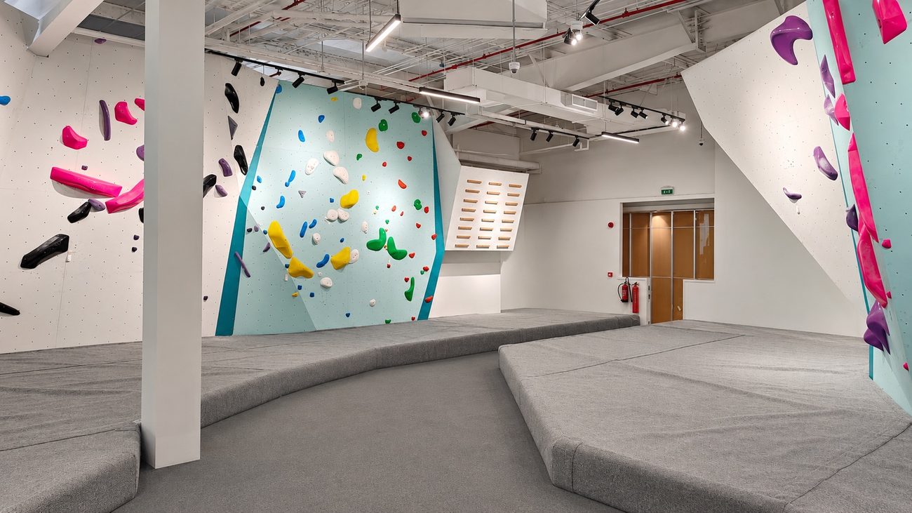 Go Climb Sports Overhang Bouldering Wall, Purple Holds, Junction Mall