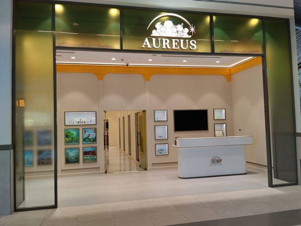 Aureus Music Academy project by Davies Group UAE