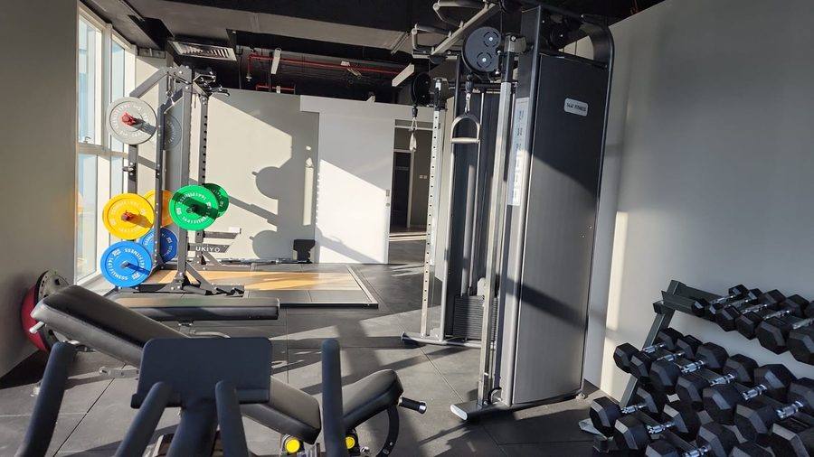 Studio 100 Jiu-Jitsu strength and conditioning equipment by Davies Group UAE