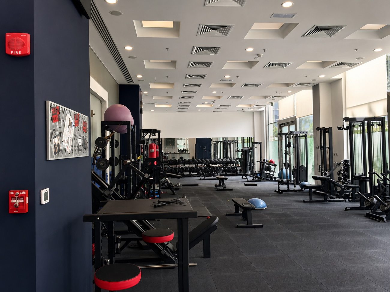 Symmetry Gym Free Weights & Benches, Gold & Diamond Park